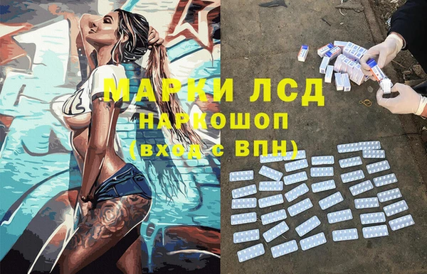 индика Балабаново