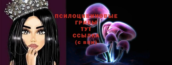 индика Балабаново