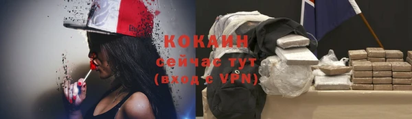 индика Балабаново